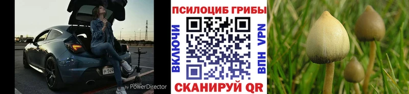 Псилоцибиновые грибы Cubensis  Сухиничи 